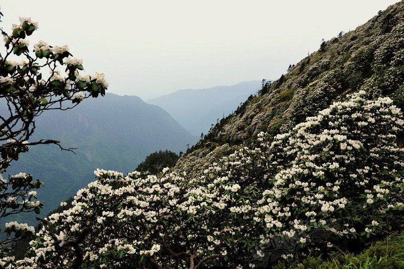 雅安市芦山县大川镇南天门风光(图)