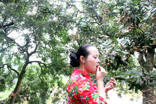 <em>巴蜀</em>笑星<em>凤姐</em>为泸州潮河桂园代言[图]! - 【泸州