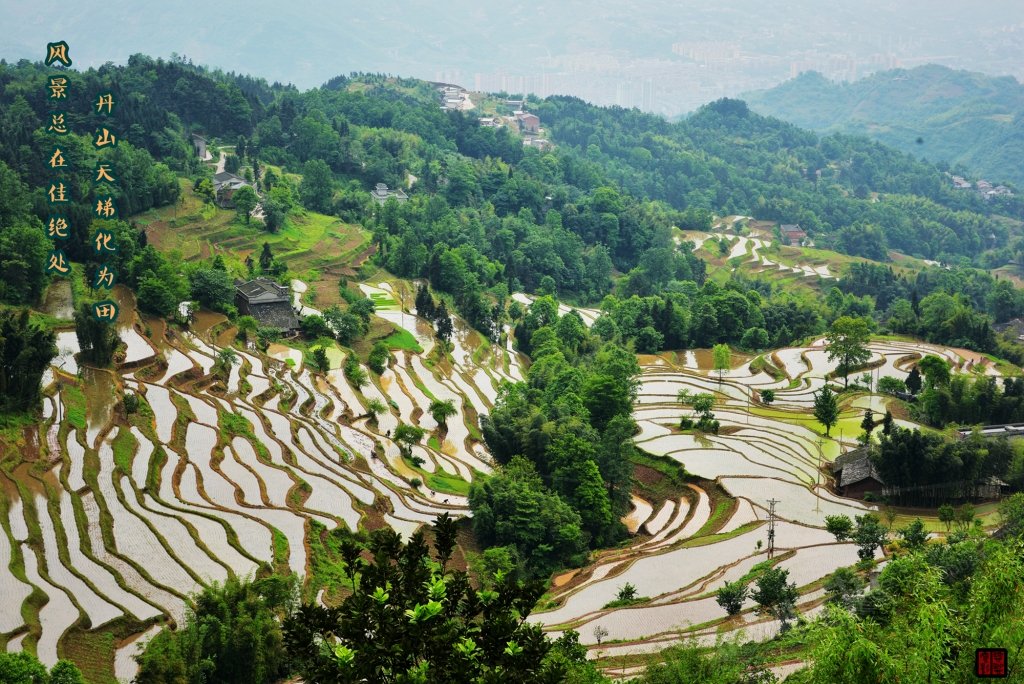 边城美景无暇看,丹山天梯化为田——我的叙永丹山梯田