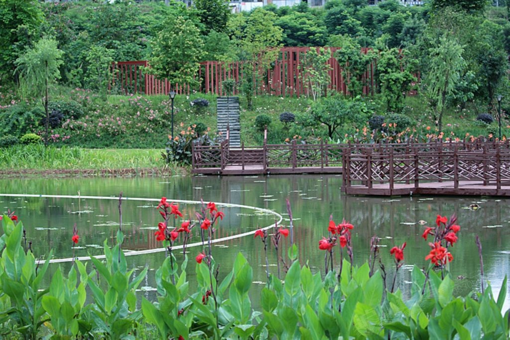 合江梨子湾湿地公园